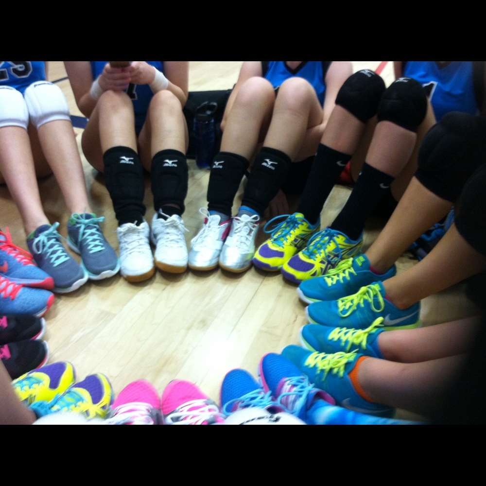 Meet your Posher, Josie